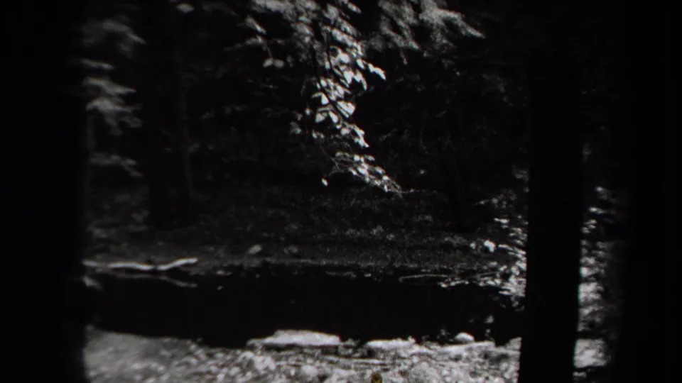 Black-and-white 8mm view of a small pond or stream edge in a wooded New York setting, with branches and shoreline visible.