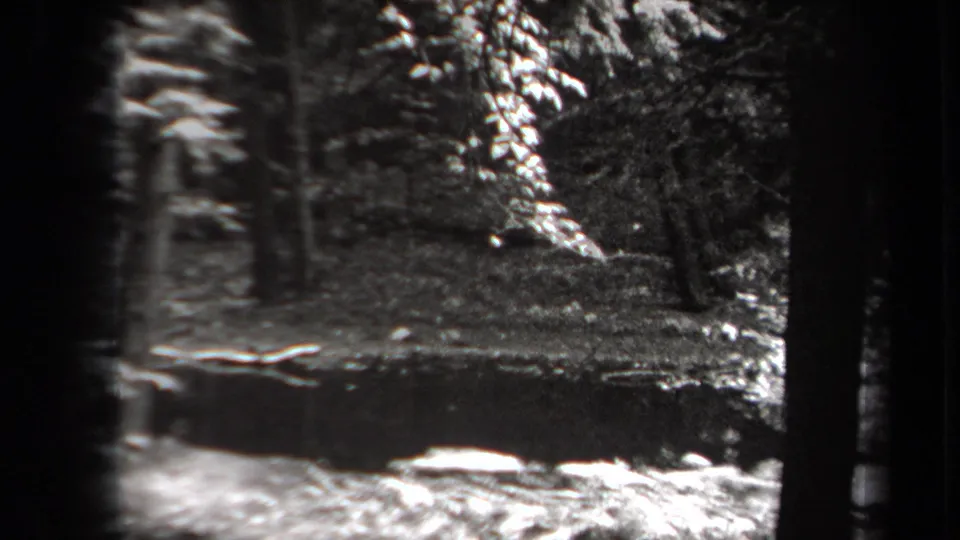 Soft black-and-white 8mm frame of a wooded pond edge, with foreground blur, trunks and bright rocks near the water.