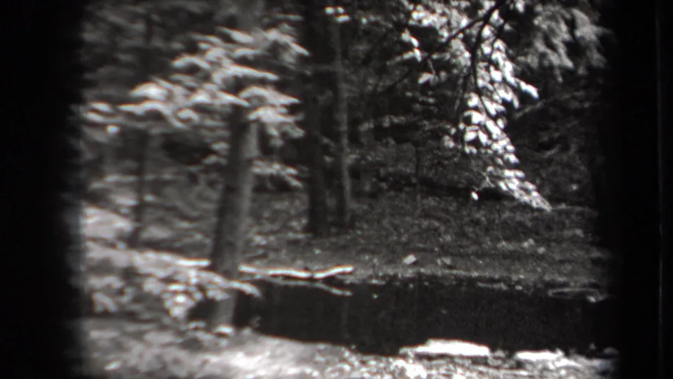 1938 New York home-movie frame showing a soft wooded pond edge with trunks, rocks and foliage in black-and-white 8mm texture.
