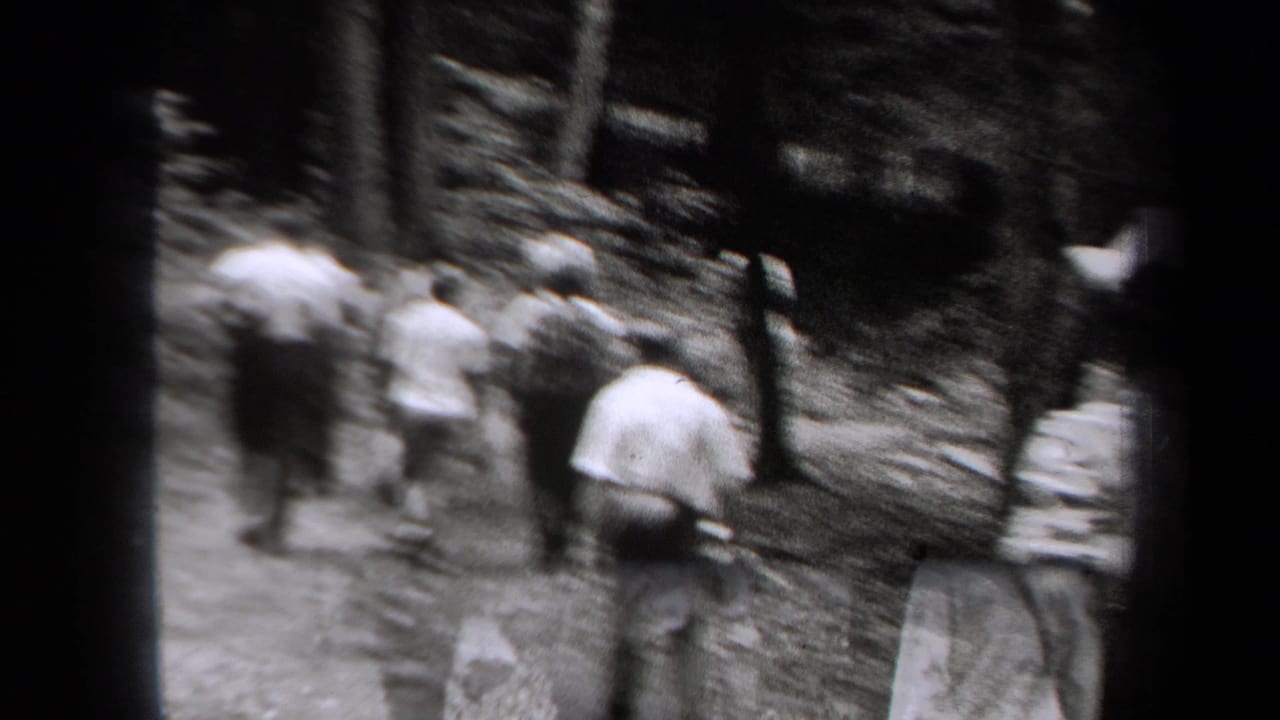 Several people walk ahead on a blurred wooded trail.