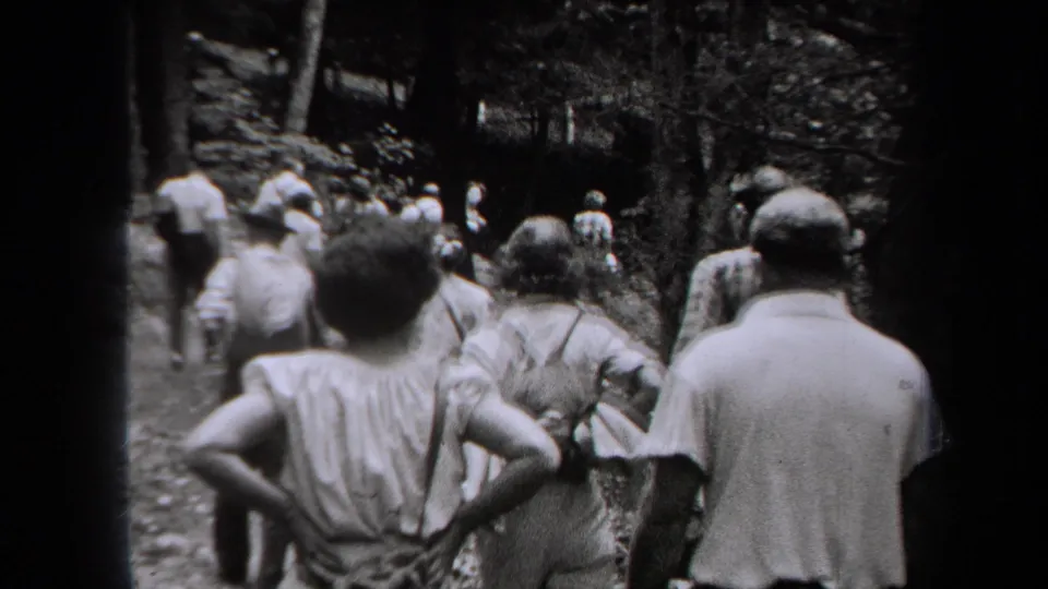 Adults seen from behind walk or pause on a forest trail, with trees and uneven ground visible around them.