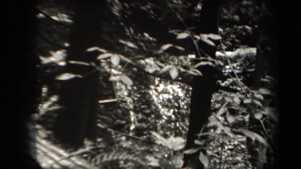 Handheld 8mm view of dark woodland ground with leaves, branches, and a reflective wet area, likely near the fishing spot.