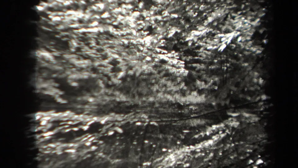 A 1938 New York forest view shows undergrowth, leaves, and rough ground in high-contrast 8mm texture.