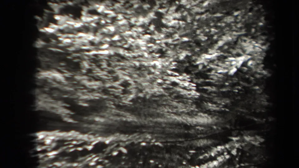 The final frame shows New York woodland undergrowth and uneven ground, rendered in grainy black-and-white 8mm film.