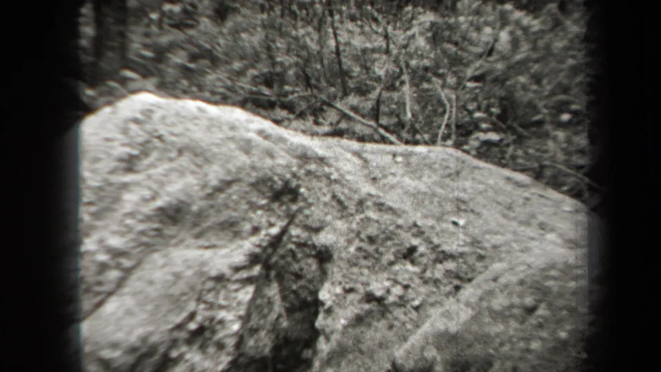 1938 New York 8mm frame showing a large rock surface at the edge of a wooded area, with brush and tree trunks in the background.