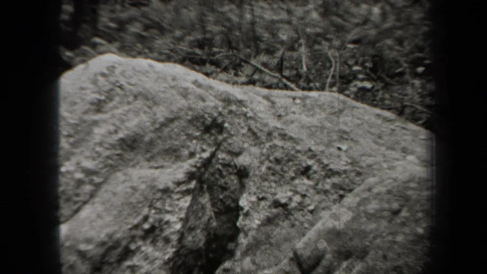 Black-and-white 8mm view of a broad boulder in a New York wooded area, with undergrowth and trees beyond the rock.