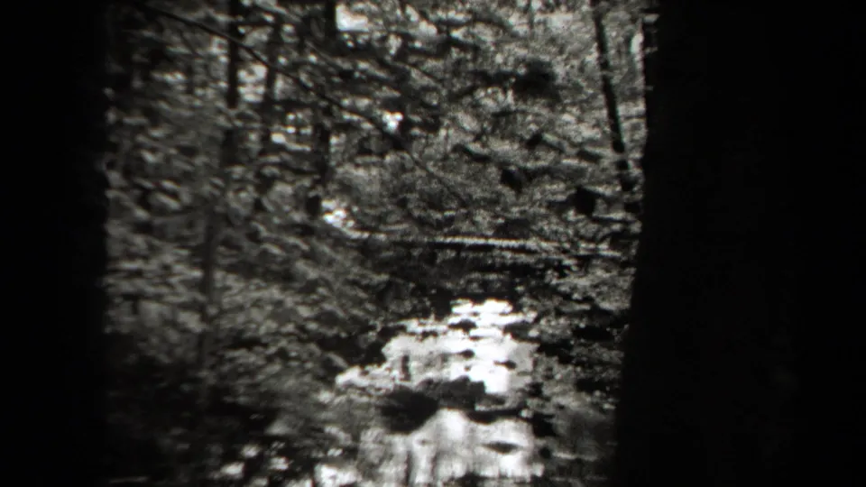 1938 New York home-movie frame looking through trees toward a bright patch along a rough wooded trail or shallow streambed.