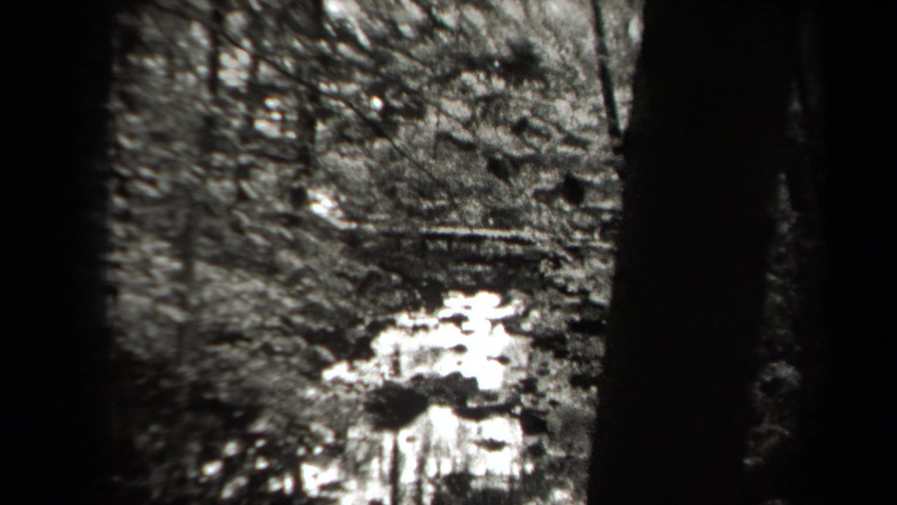 Small waterfall and stream framed by dark 8mm film edges and trees.