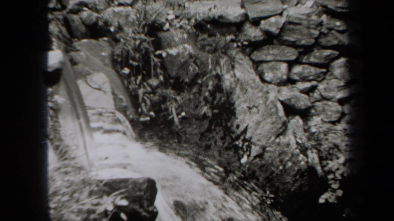Black-and-white 1938 New York 8mm frame showing water streaming near a rustic stone wall and vegetation.