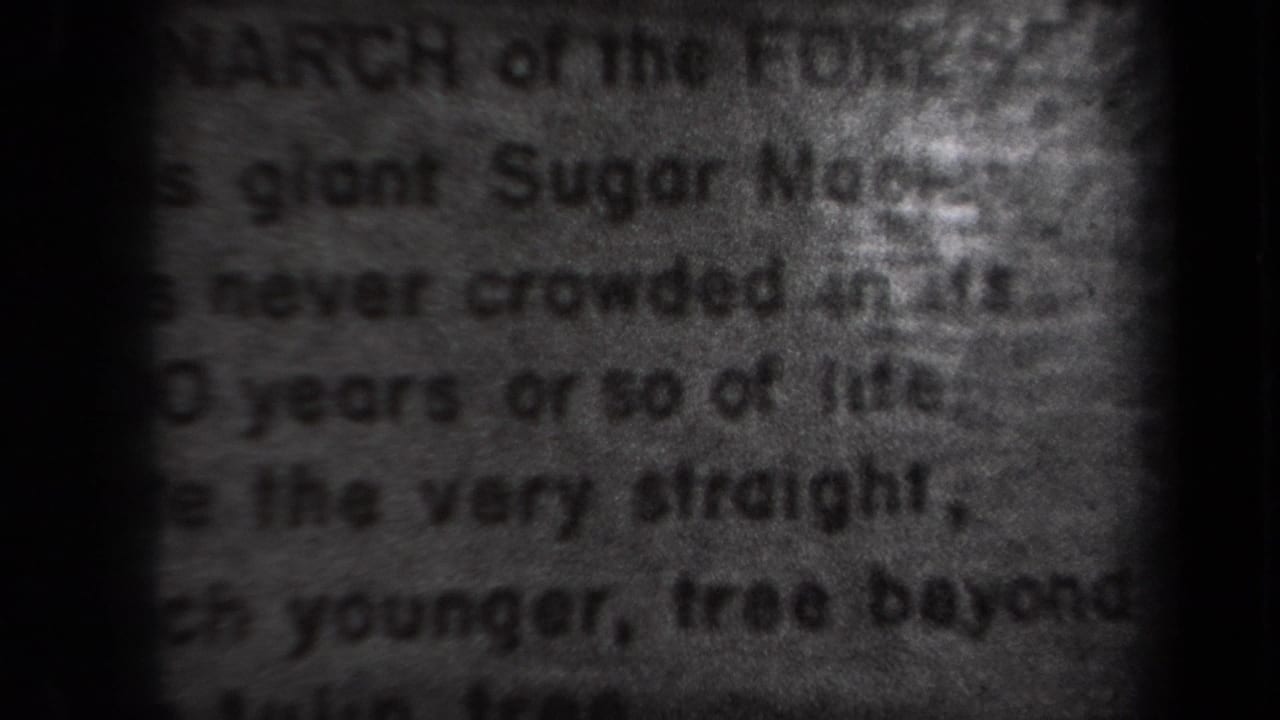 Soft, out-of-focus black-and-white frame showing printed text, likely a title card or document photographed within the reel.