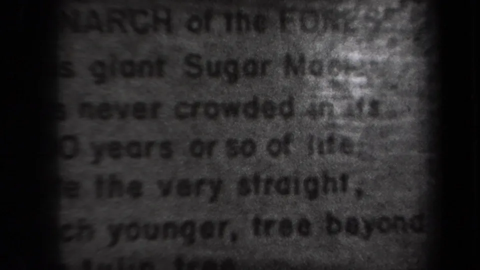 Soft, out-of-focus black-and-white frame showing printed text, likely a title card or document photographed within the reel.