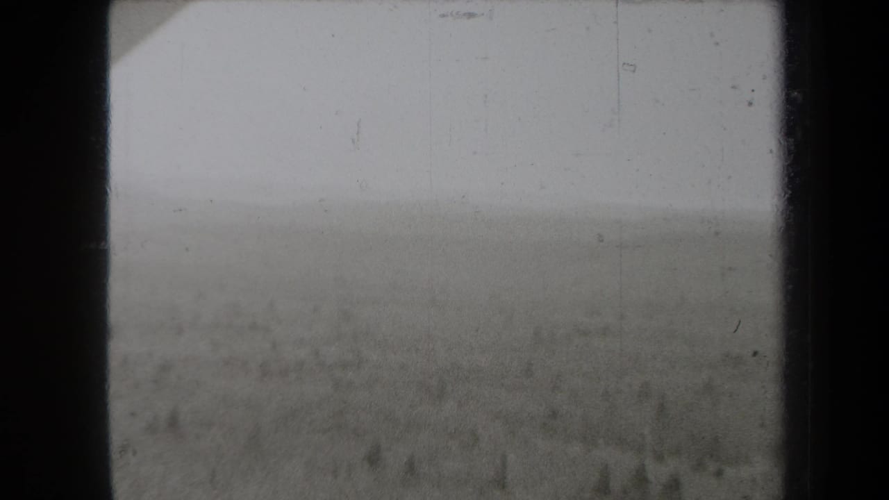 1938 New York 8mm frame showing a hazy landscape with a low tree line or field seen through a dark frame.