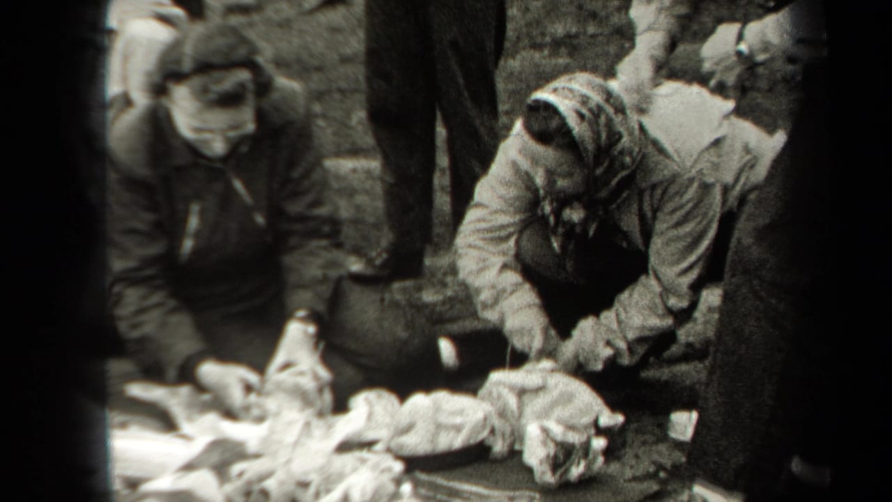 Two people kneel over chickens and supplies on outdoor ground.