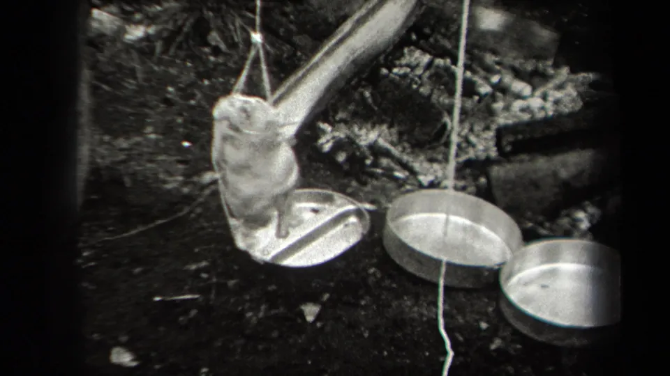 1938 New York 8mm frame showing a suspended chicken above an outdoor cooking area with metal pans and charred wood nearby.