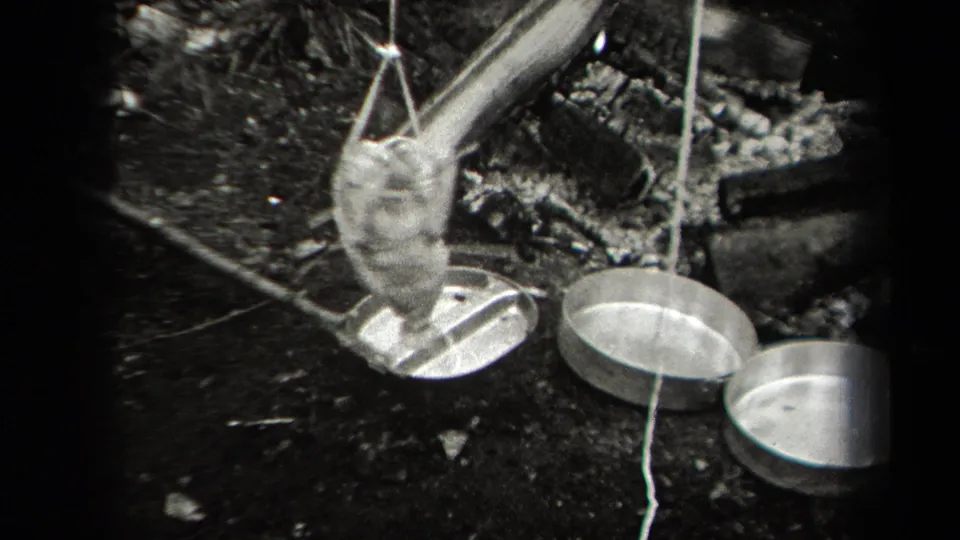 In 1938 New York home-movie footage, suspended poultry hangs over metal pans beside sticks and ground debris in a wooded outdoor cooking setup.