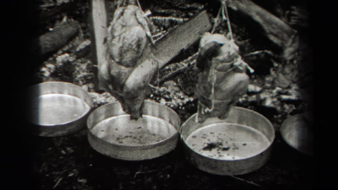 Two hanging chickens turn above round pans on the forest floor.