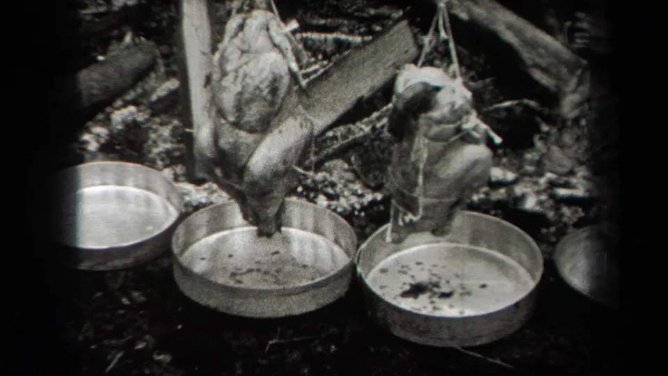 Two whole chickens suspended by strings appear above shallow metal pans in a wooded 1938 New York outdoor cooking scene.