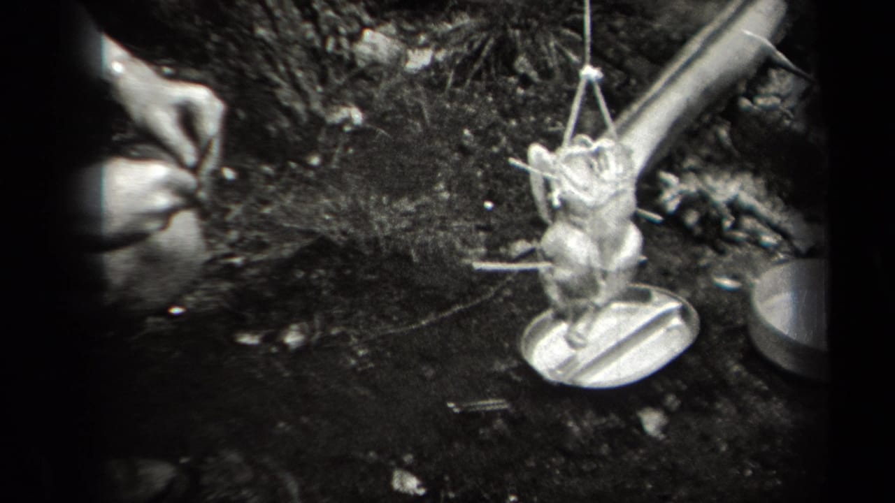 Whole bird hangs over a fire area beside metal cookware on the ground.