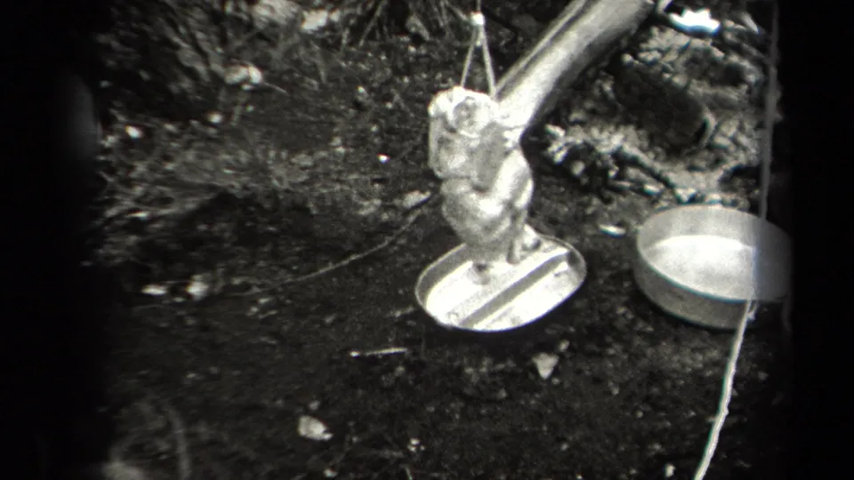 Black-and-white 8mm footage shows a whole bird hanging over a pan at a rustic wooded cooking site in New York.