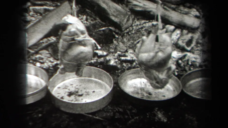 Two suspended birds roast above metal pans while a person stands nearby in 1938 New York camping footage.