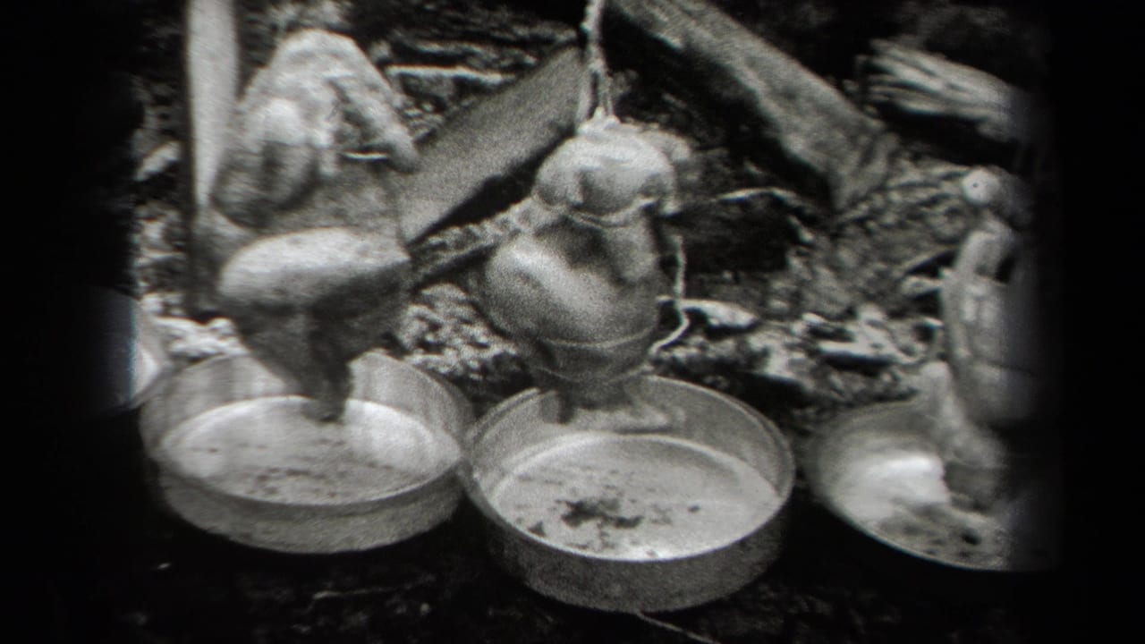 Whole chickens hang over metal pans in a rough outdoor cooking area.