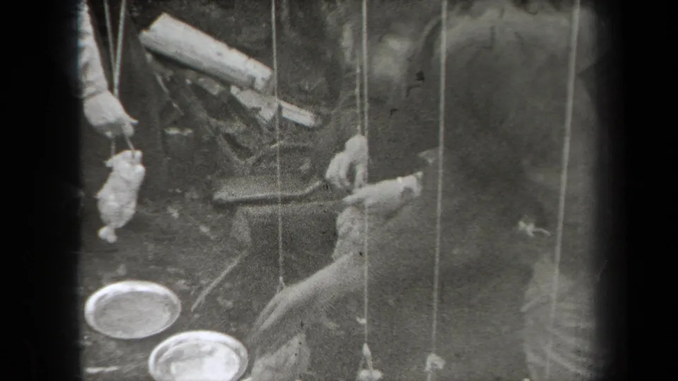 A wider 1938 New York home-movie view shows suspended chickens, metal pans, logs, and people gathered around the cooking area.