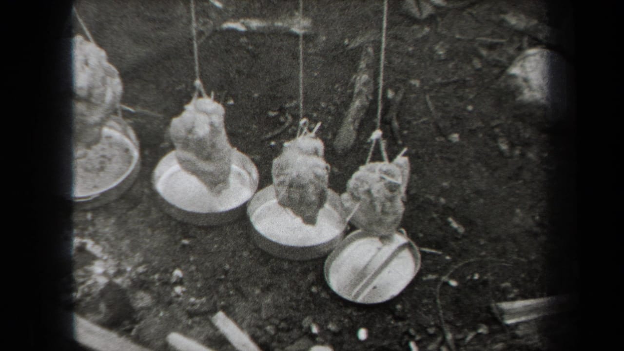1938 New York home-movie frame showing several whole chickens suspended by strings above metal pans outdoors.