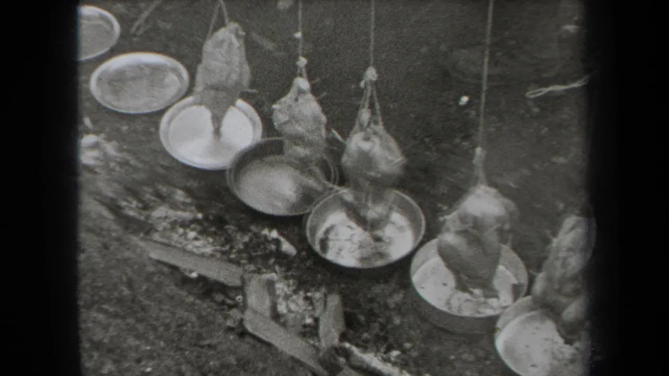 Grainy 8mm frame from 1938 New York showing chickens suspended by string above metal pans on outdoor ground.