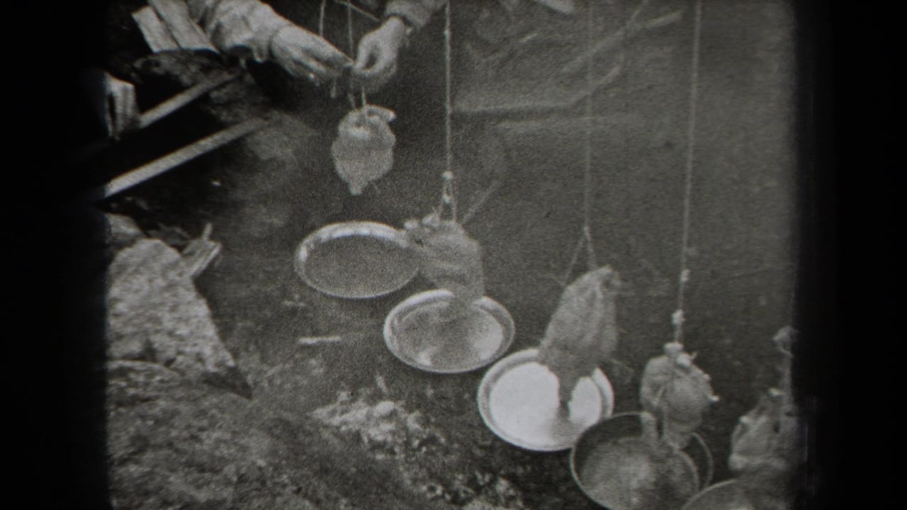 Trussed birds hang by strings above metal pans in a rough outdoor setting.
