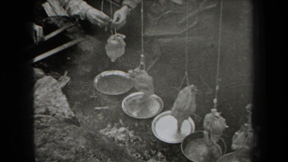 1938 New York 8mm frame showing trussed birds suspended over shallow metal pans during outdoor meal preparation.