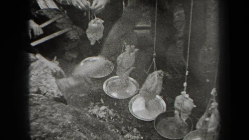 1938 New York home-movie frame with a person handling suspended birds above pans in a rocky outdoor area.
