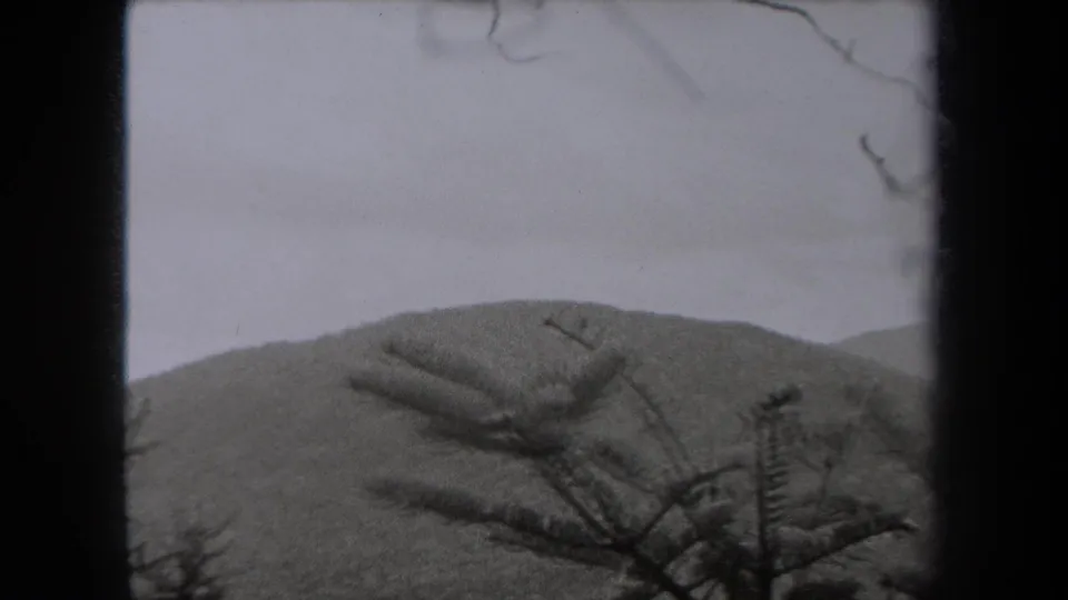 1938 New York mountain scenery with a rounded wooded slope, pale sky, and evergreen branches seen through soft 8mm film texture.