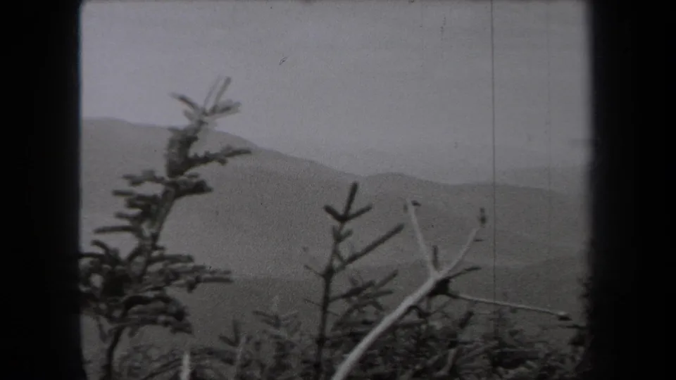 1938 New York 8mm view of pine branches and bare twigs silhouetted against misty mountain ridges.