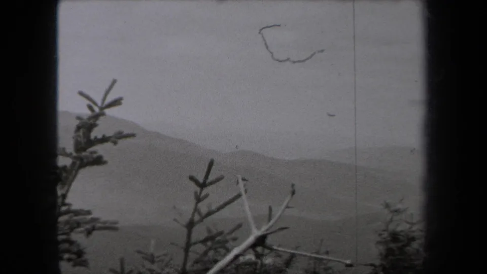 1938 New York 8mm frame with evergreen branches, bare twigs, and layered mountain slopes softened by mist.