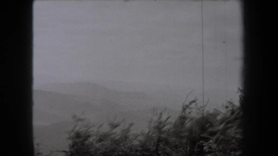 1938 New York 8mm frame showing low brush and bare branches below a soft, mist-covered mountain horizon.