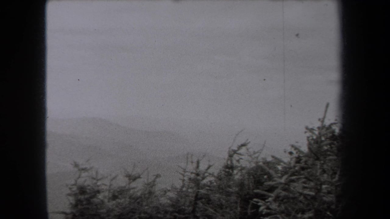 Black-and-white 8mm frame of a misty New York hillside with shrubs and heavy scan borders, dated by metadata to 1938.
