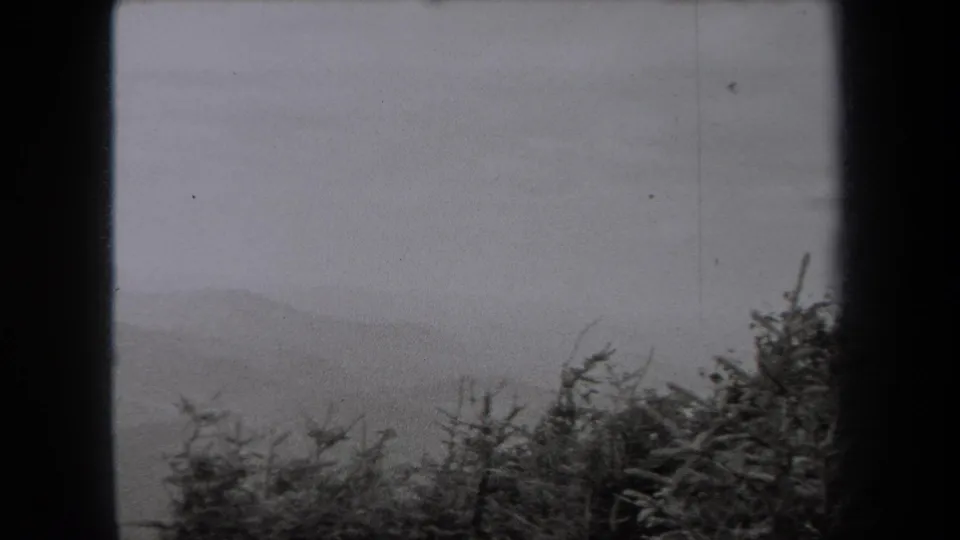 Black-and-white 8mm frame of a misty New York hillside with shrubs and heavy scan borders, dated by metadata to 1938.