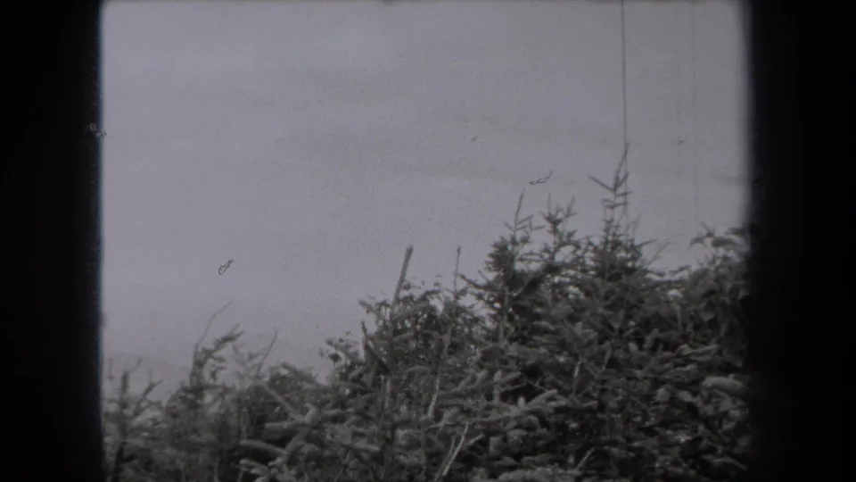 Black-and-white 8mm view of shrubs and a hazy hillside in New York, with the physical film gate visible at the sides.
