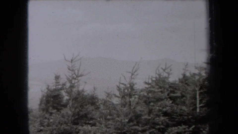 In this 1938 New York 8mm frame, a partly obscured person appears low among evergreens with a distant hazy landscape beyond.