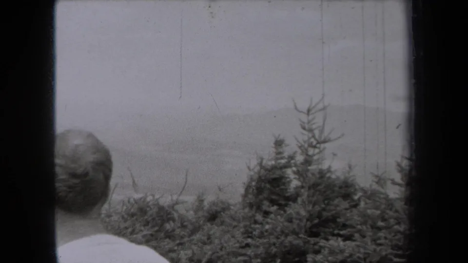 In this 1938 New York 8mm frame, the back of a person's head appears at the lower edge before evergreens and a distant mountain view.