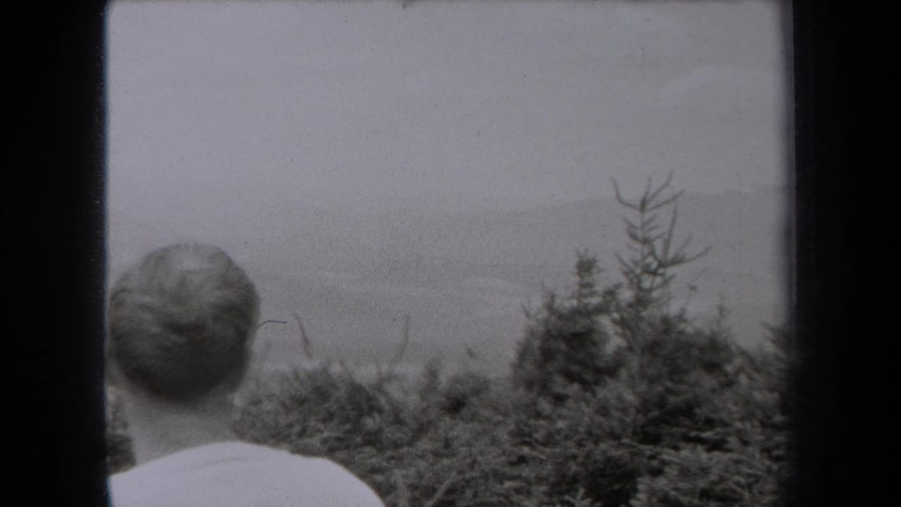 Adult man in a light shirt, seen from behind in 1938 New York footage, looking past evergreen shrubs toward misty hills.