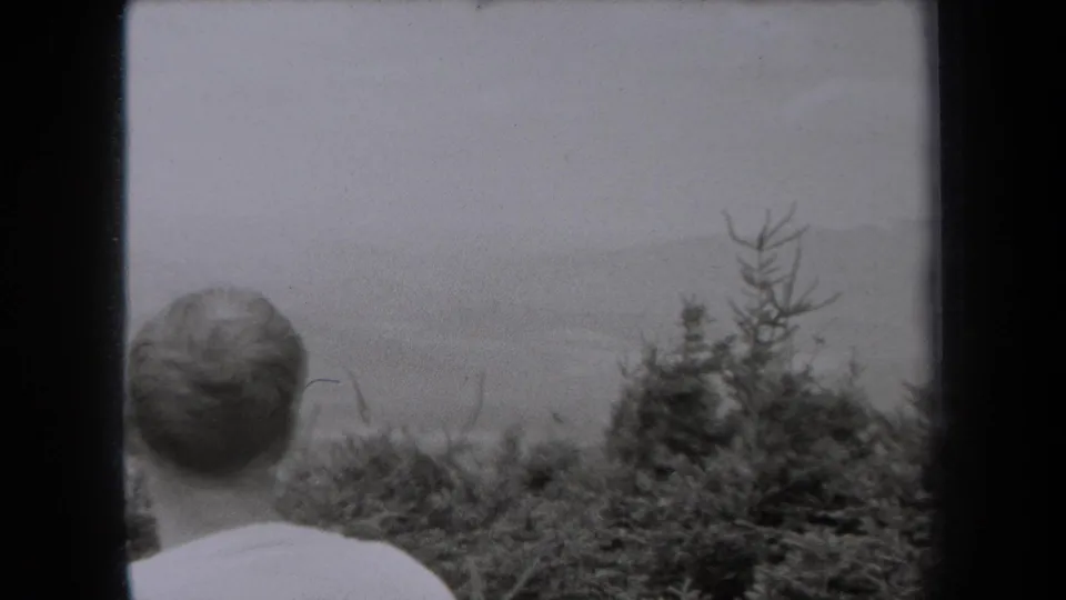Adult man in a light shirt, seen from behind in 1938 New York footage, looking past evergreen shrubs toward misty hills.