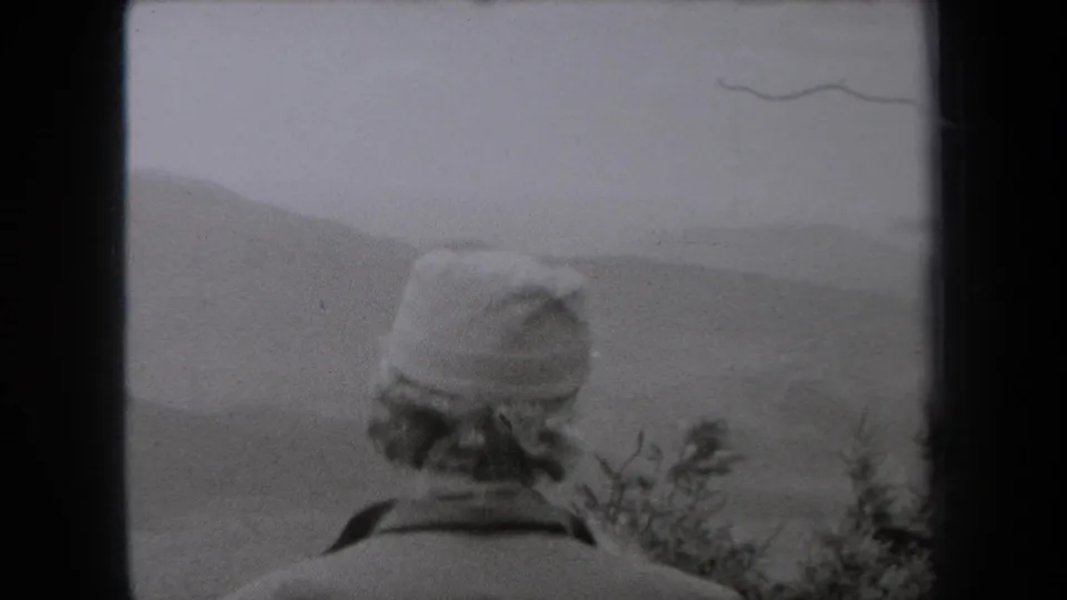 Adult in cap and jacket stands with back to the camera, looking over shrubs toward hazy New York hills.