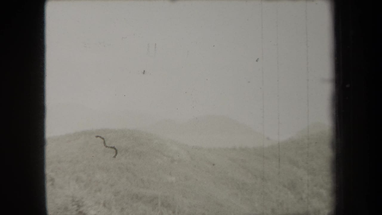 1938 New York 8mm frame showing a hazy mountain ridge, pale sky, wooded slope, and visible film borders.