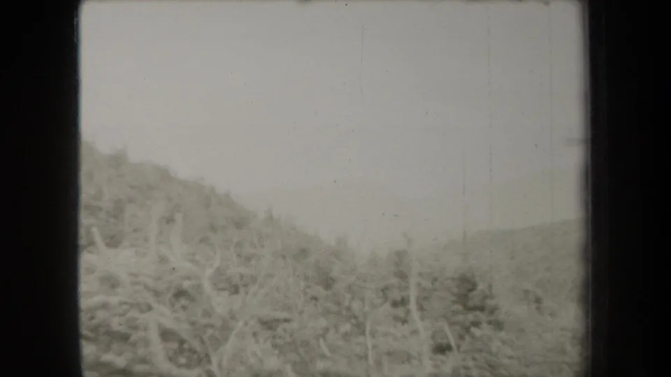 1938 New York home-movie frame of a forested slope, bare foreground branches, and distant hills softened by haze.