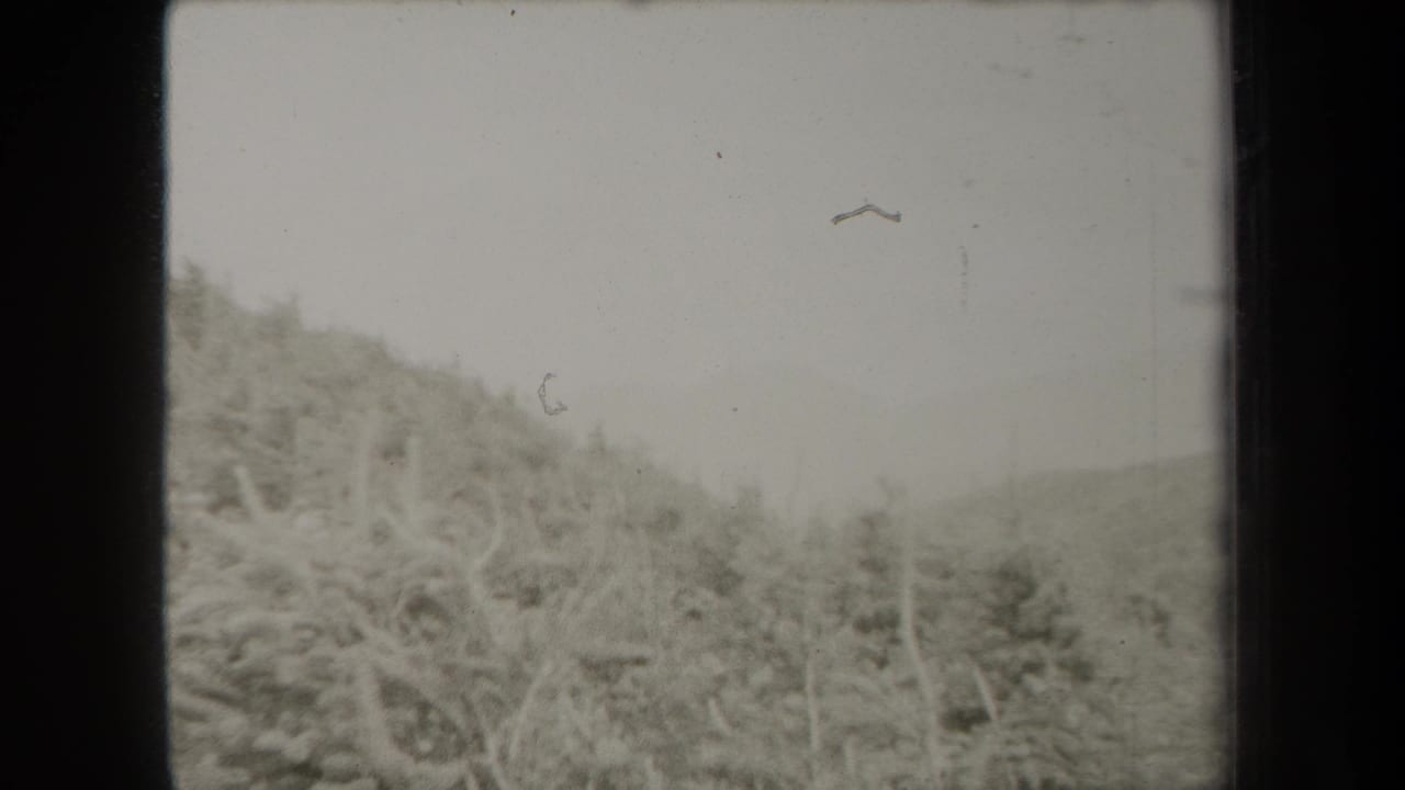 Soft black-and-white view of wooded hills and scrub brush with dark film borders.