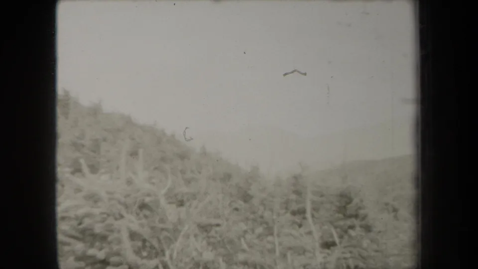 1938 New York 8mm frame showing a distant wooded hillside, scrub brush, and bare branches in soft black-and-white focus.