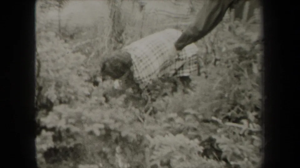 A woman in a checkered shirt leans toward plants in a wooded New York setting in 1938 8mm footage.