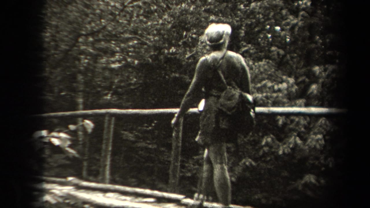 Woman seen from behind standing or walking on a wooden bridge in dense woods.