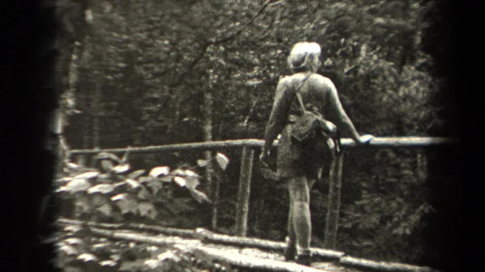 The woman is framed from behind on the bridge, with her shoulder bag visible and dense New York woodland filling the background.